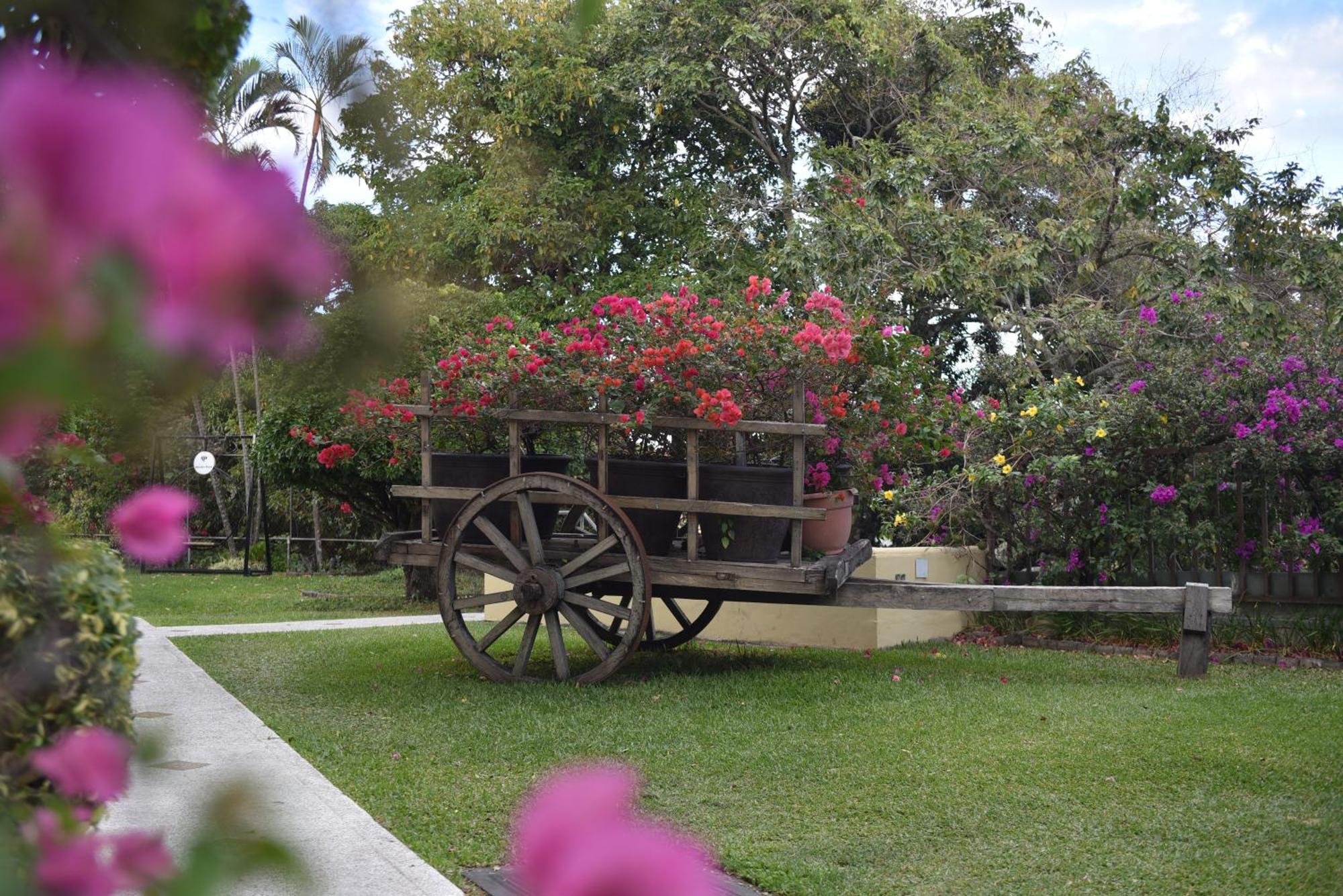 Hotel Mirador Plaza San Salvador